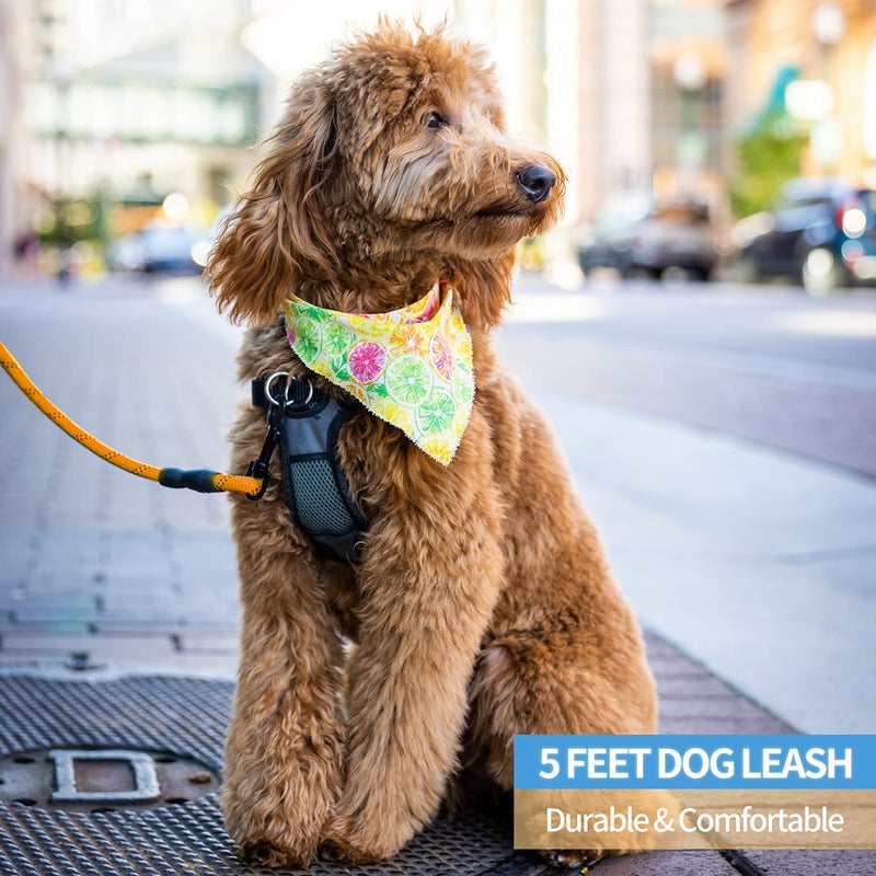 BAAPET 2/4/5/6 FT Dog Leash with Comfortable Padded Handle and Highly Reflective Threads for Small Medium and Large Dogs (5FT-1/2'', Orange) - Image 5